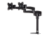 StarTech.com Desk Mount Dual Monitor Arm - Høyre vinkel
