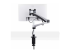 Startech Monitor Desk Mount, VESA 75x75/100x100, 27/30-inch Screens - Tilbake
