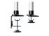 Startech Monitor Desk Mount, VESA 75x75/100x100, 27/30-inch Screens - Nærbilde