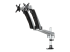 StarTech.com Desk Mount Dual Monitor Arm - Høyre vinkel